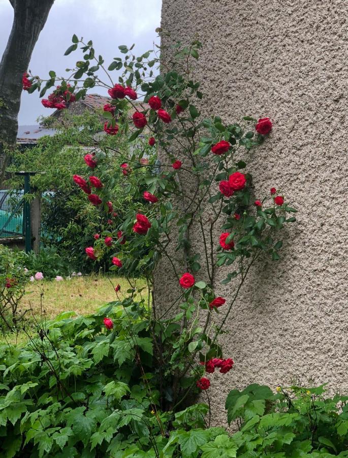 Gite De Pampe Lune & Spa Pampelonne Exterior foto